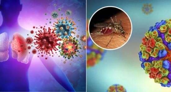 Viral Diseases and Dengue Cases on the Rise